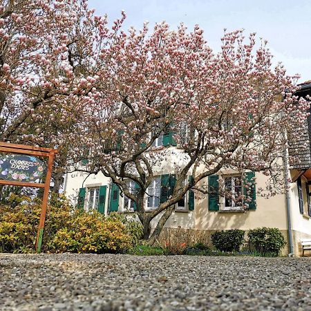 La Tirelire Bed & Breakfast Cosswiller Exterior photo