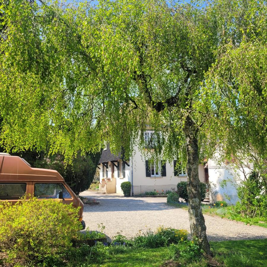 La Tirelire Bed & Breakfast Cosswiller Exterior photo